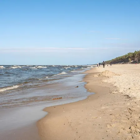 Bursztynova Piamola Blisko Zalewu Wislanego *