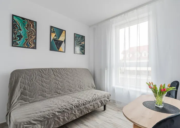 Apartman Bursztynova Piamola Blisko Zalewu Wislanego, Bezplatne Solarium