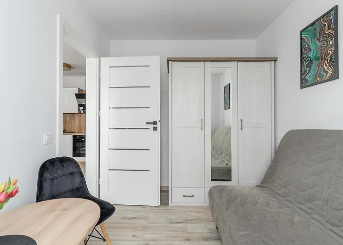 Bursztynova Piamola Blisko Zalewu Wislanego, Bezplatne Solarium *