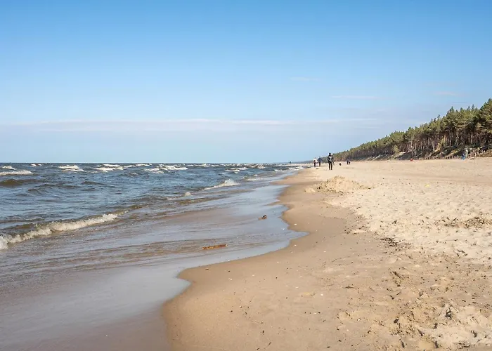 Bursztynova Piamola Blisko Zalewu Wislanego *