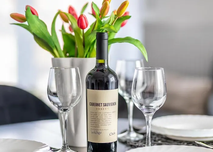 Bursztynova Piamola Blisko Zalewu Wislanego, Bezplatne Solarium Apartman *